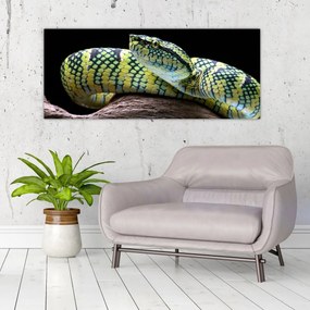 Obraz - Štrkáč Waglerov (120x50 cm)