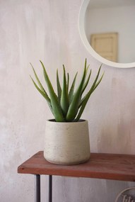 Kvetináč TROPICO, sklolaminát, výška 29 cm, béžová