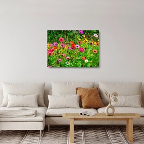 Sklenený obraz lúčnych kvetov (70x50 cm)