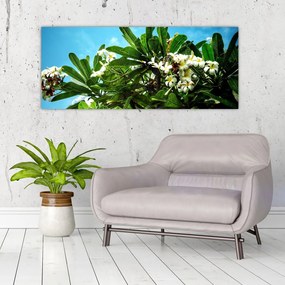 Obraz - Plumeria (120x50 cm)