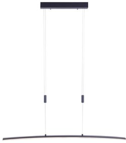 Paul Neuhaus Paul Neuhaus 2530-13 - LED Stmievateľný luster na lanku JANINA LED/27W/230V W2207