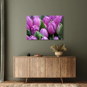Obraz - kvety tulipánov (90x60 cm)