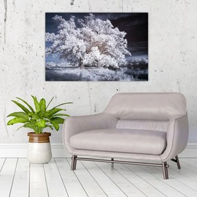 Obraz - Snehobiely strom (90x60 cm)