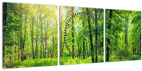Obraz - Jarný listnatý les (s hodinami) (90x30 cm)