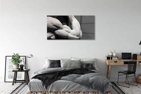 Obraz plexi Sval black and white 125x50 cm