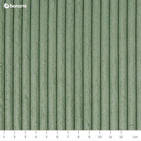 Svetlozelená menčestrová rozkladacia pohovka 218 cm Tori – Bonami Selection