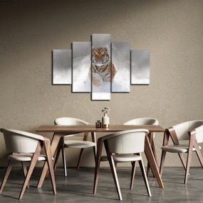 Obraz bežiaceho tigra v snehu (150x105 cm)