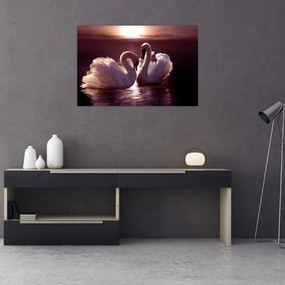 Obraz - Labute na jazere (90x60 cm)