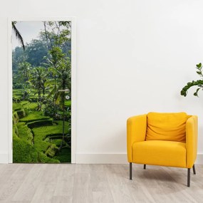 Fototapeta na dvere - Ryžové terasy Tegalalang (95x205cm)