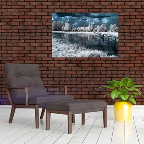 Obraz - Zamrznutá krajina (90x60 cm)
