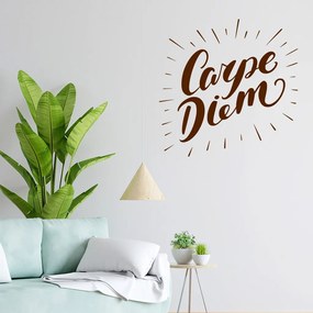 Veselá Stena Samolepka na stenu na stenu Carpe Diem (Užívaj dňa) Farba: čierna