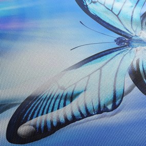Obraz - Motýľ, symbol nádeje (150x105 cm)