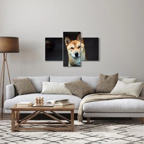 Obraz psa (90x60 cm)