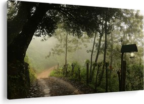Obraz rannej hmly (90x60 cm)