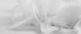 Obraz - Perie (120x50 cm)
