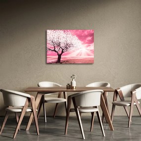 Ružový obraz stromu (70x50 cm)