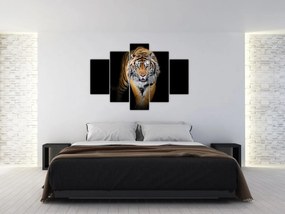 Obraz - Tiger (150x105 cm)