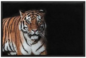 Premium rohožka - zvieratá  - tiger (Vyberte veľkosť: 60*40 cm)