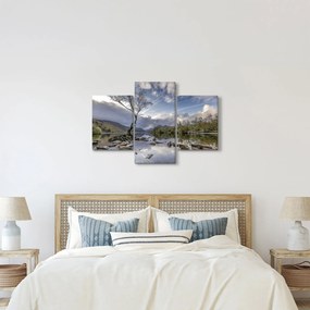 Obraz rieky za stromom (90x60 cm)