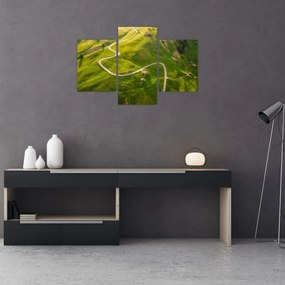 Obraz - Náhorná lúka (90x60 cm)