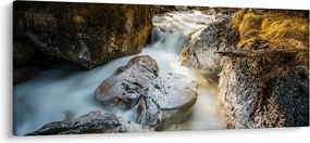 Obraz - Lesný potok (120x50 cm)