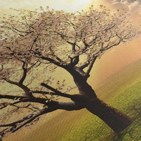 Obraz stromu na lúke (150x105 cm)