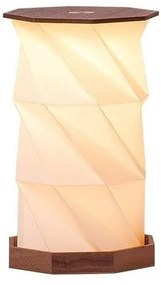 Tmavo prírodná svetelná dekorácia na USB ø 12 cm Twist Hexagon – Gingko