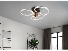 LED stmievateľné stropné svietidlo v čierno-striebornej farbe Caruso – Trio