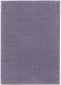 Koberce Breno Kusový koberec DOLCE VITA 01/LLL, fialová,140 x 200 cm