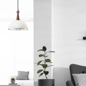 Sťahovací luster CHIARA 1xE27/60W/230V strieborná/buk