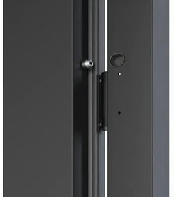Kovové vchodové dvere P68 Artemida 90 P tmavý antracit