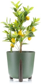 PLASTOVÝ KVETINÁČ MOSS ECO 25X26 CM ZELENÁ