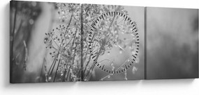 Obraz - Lúka po daždi (s hodinami) (90x30 cm)