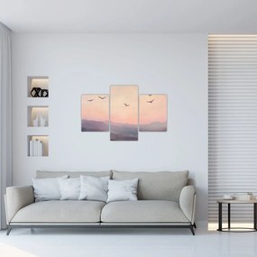 Obraz - Hejno vtákov II. (90x60 cm)