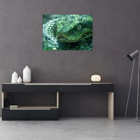 Sklenený obraz - Portrét hada (70x50 cm)