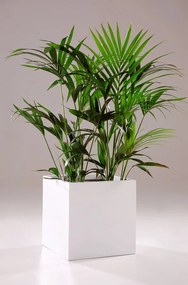 Kvetináč BLOCK, sklolaminát, 60x60x60 cm, biely mat