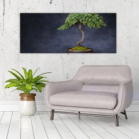 Obraz - Bonsai (120x50 cm)