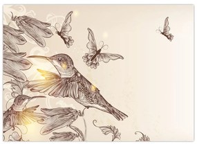 Sklenený obraz - Kolibríky (70x50 cm)