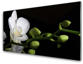 Sklenený obklad Do kuchyne Kvet rastlina príroda 120x60 cm