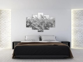 Obraz - Tráva vo vetre (150x105 cm)