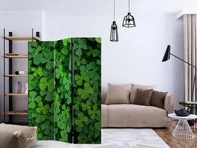 Paraván - Green Clover [Room Dividers] Veľkosť: 135x172, Verzia: Jednostranný