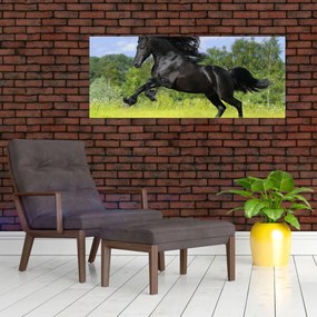 Obraz - Kôň s vzdušnou hrivou (120x50 cm)