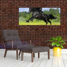 Obraz - Kôň s vzdušnou hrivou (120x50 cm)