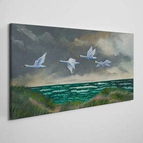 Obraz canvas Vtáky morskej oblohy labute