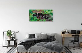 Obraz na plátne List farebný motýľ 125x50 cm