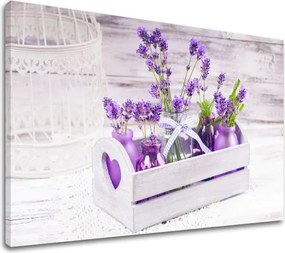 Obraz na stenu FIALOVÉ KVETY_164-11