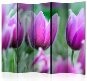 Artgeist Paraván - Purple spring tulips [Room Dividers]
