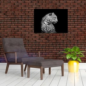 Sklenený obraz - Leopard (70x50 cm)