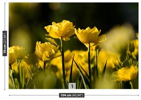 Fototapeta Vliesová Žltý tulipán 416x254 cm