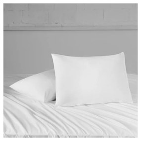 Antialergénny vodoodolný chránič vankúša 2 ks 70x50 cm Classic - Mila Home